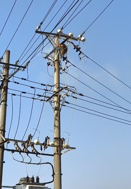 激光清障儀清除鳥窩