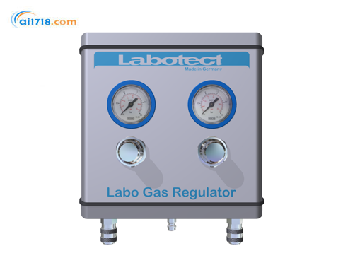 Labo Gas Regulator流量調節(jié)器