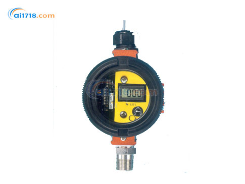 C12-17 可燃?xì)怏w檢測(cè)儀