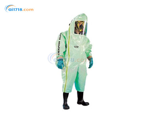 D3020895 CHEMPION可重復(fù)使用氣密防化服