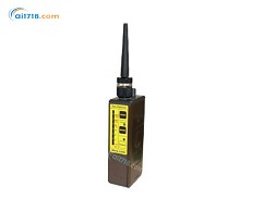 SP-210泵吸式可燃?xì)怏w檢測(cè)儀 